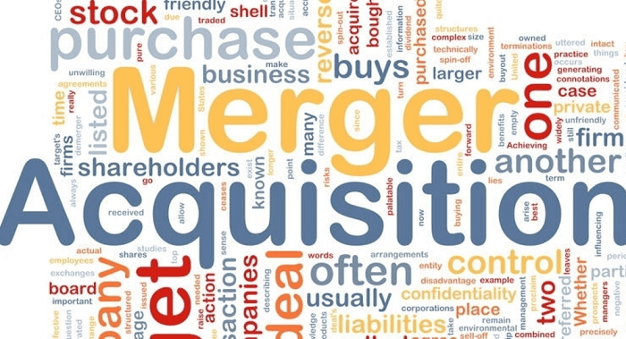 Unraveling Tax Implications in Mergers and Acquisitions