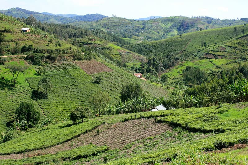 Legal Due Diligence Deep Dive into Land Tenure Risks in Large-Scale Developments in Nigeria