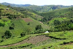 Legal Due Diligence Deep Dive into Land Tenure Risks in Large-Scale Developments in Nigeria