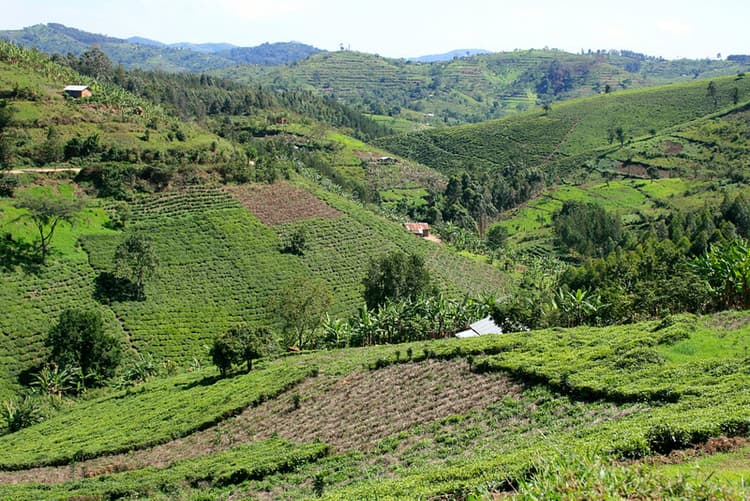 Legal Due Diligence Deep Dive into Land Tenure Risks in Large-Scale Developments in Nigeria