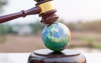 Environmental Laws and Sustainable Practices in Nigeria: Legal responsibilities for businesses